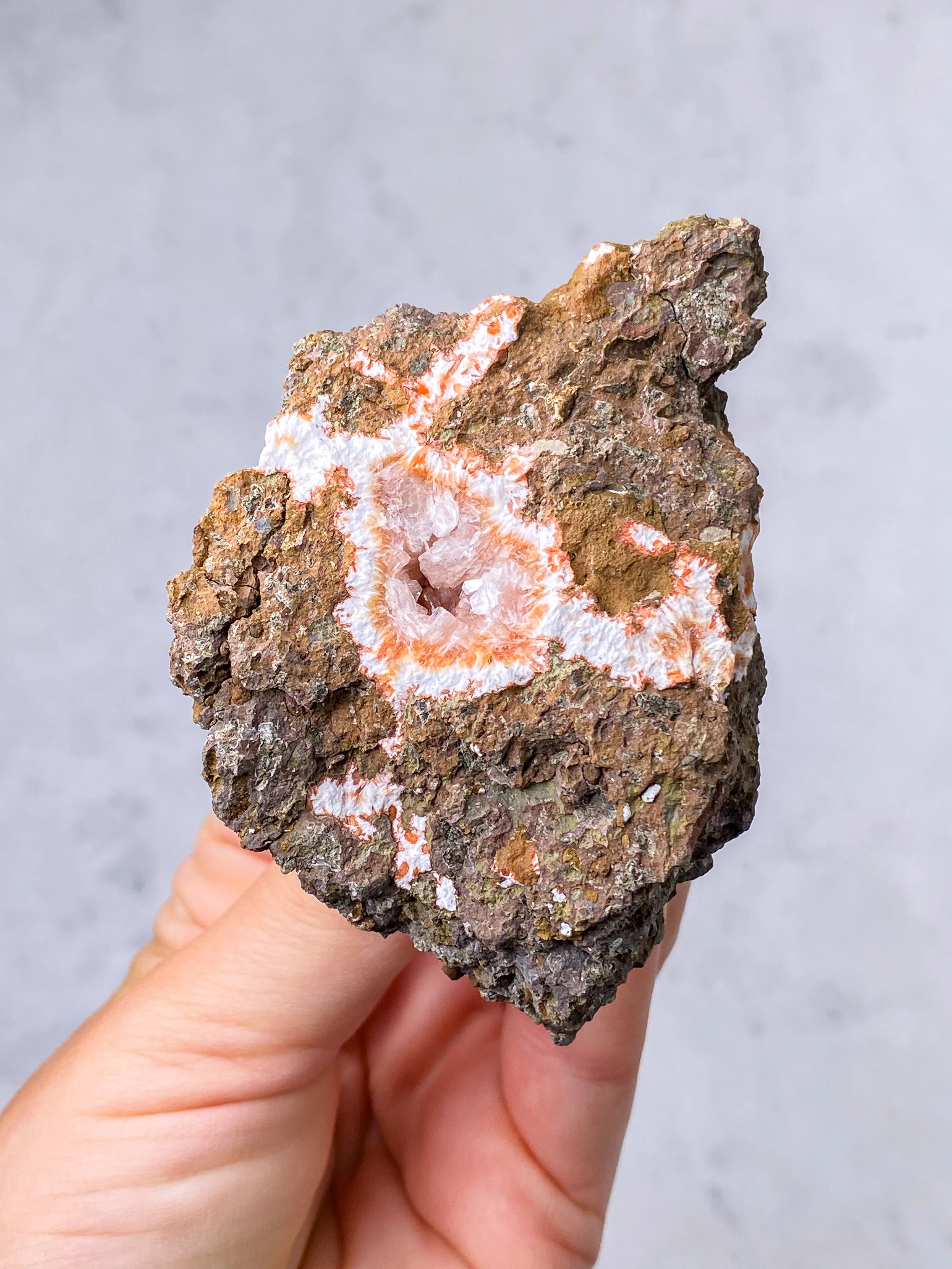 Miniaturebillede 1